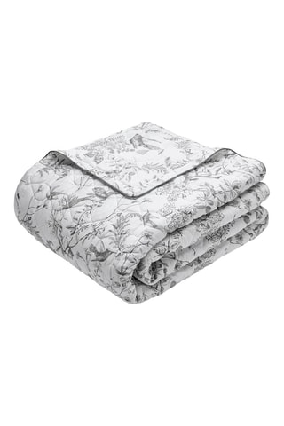 Couvre-lit XL en satin de coton 80 fils/cm² Colibri botanique - Noir et gris