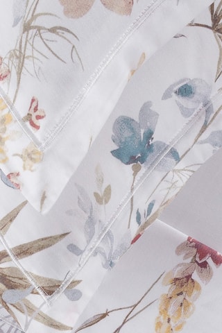 2 taies d'oreiller Colibri chantant - Blanc