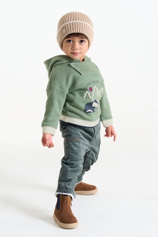 Sweater met Capuchon - Lichtgroen - Obaïbi