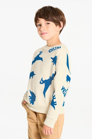 Sweater - Wit - Okaïdi