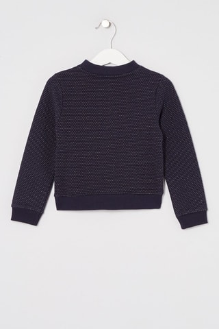 Sweater Marineblauw