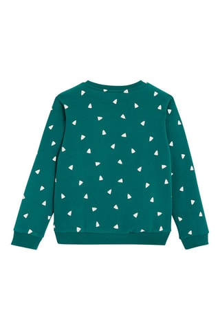 Sweater Groen - Okaïdi