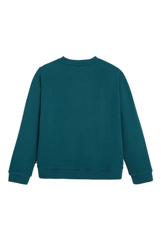 Sweater Pauwblauw - Okaïdi