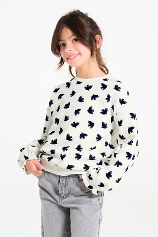 Sweater - Lichtgrijs - Okaïdi