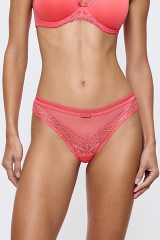 String Lily - Corail