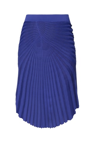 Roberto Cavalli - Jupe plissée - Bleu