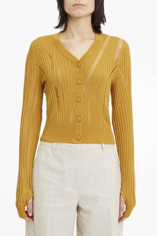 Gilet Moutarde