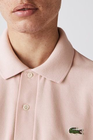 Polo Regular Fit Rose