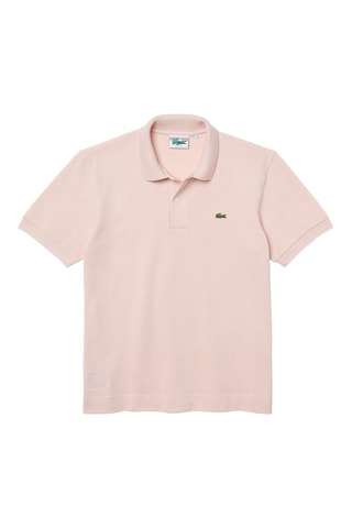 Polo Regular Fit Rose