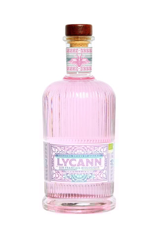 Gin bio 70 cl