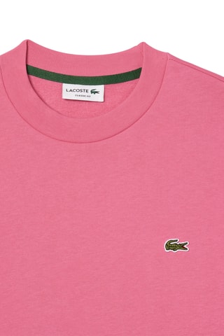 Sweat - Rose