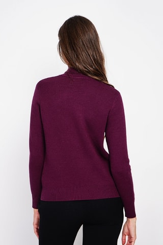Trui - Bordeauxrood - Rood