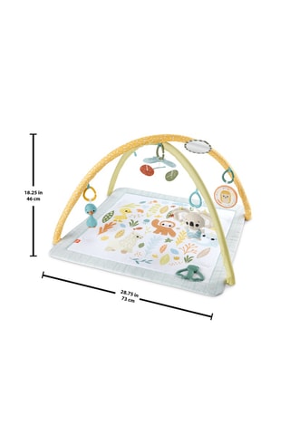 Tapete de atividades Fisher-Price - Desde o nascimento