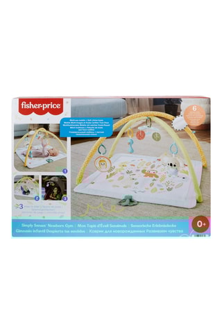 Tapete de atividades Fisher-Price - Desde o nascimento
