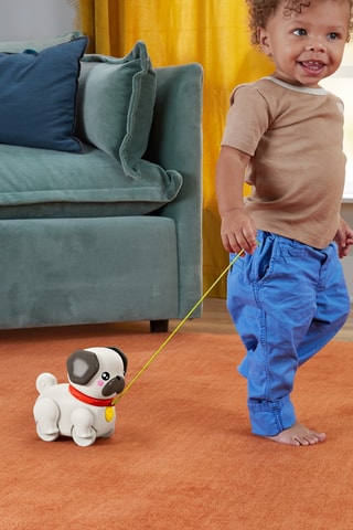 Brinquedo de puxar Meu cachorrinho para passear Fisher-Price - Desde 12 meses - Modelo aleatório