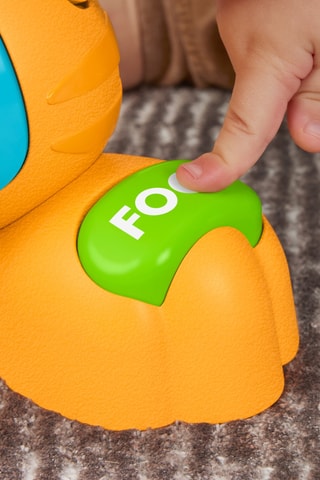 Brinquedo de desenvolvimento interativo Fisher-Price - A partir dos 9 meses