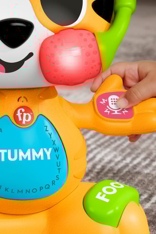 Brinquedo de desenvolvimento interativo Fisher-Price - A partir dos 9 meses