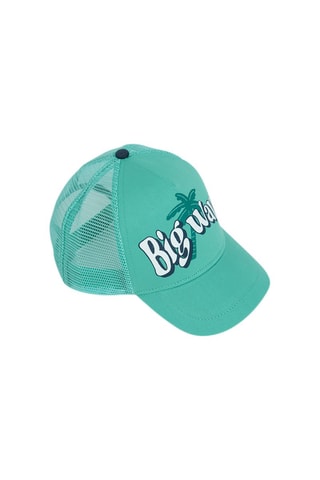 Pet Turquoise