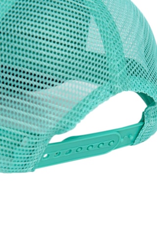 Pet Turquoise