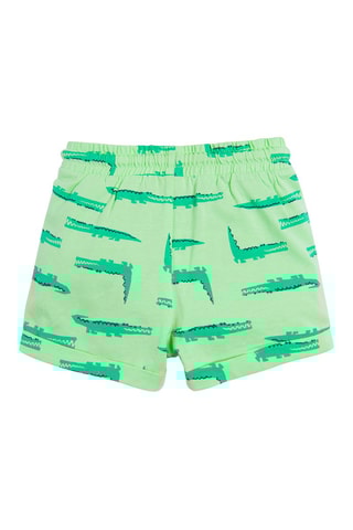 2 Shorts Groen en Turquoise