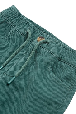 Velours Broek - Groen