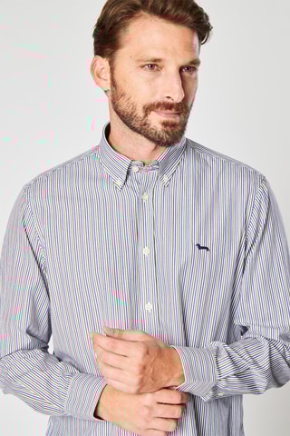 Camisa aos quadrados Azul elétrico e verde - Harmont & Blaine