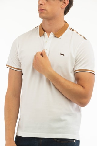Polo - Branco -  Harmont & Blaine