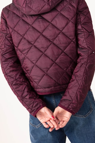 Doudoune à capuche - Bordeaux