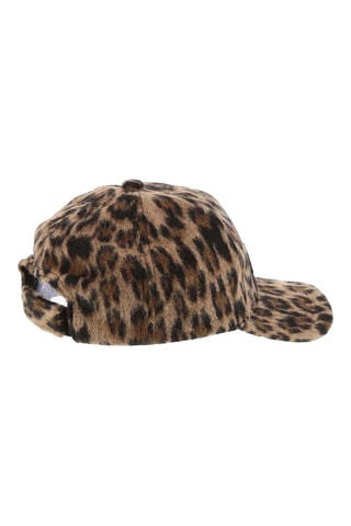 Pet - Bruin en Zwart