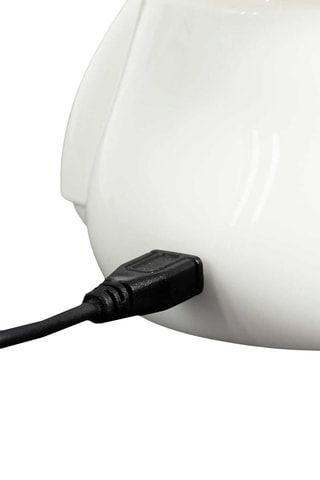Lednachtlampje met Kat - Wit