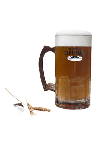 Bierpul - 100 cl