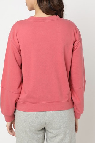 Sweat - Rose