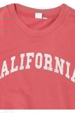 Sweat - Rose