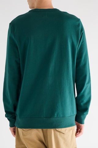 Sweat - Vert