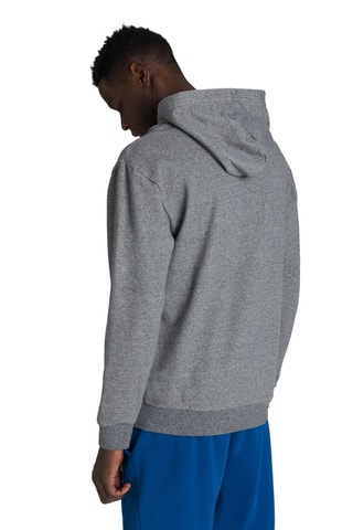 Sweat à capuche Gris