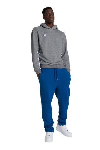 Sweat à capuche Gris