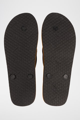 Tongs Parrot - Noir