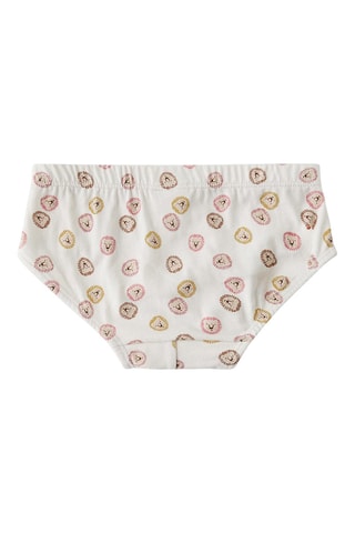 6 culottes - Blanc, marron et écru