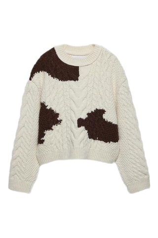 Pull - Blanc et marron