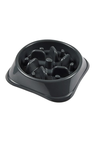 Gamelle anti-glouton - 500 ml