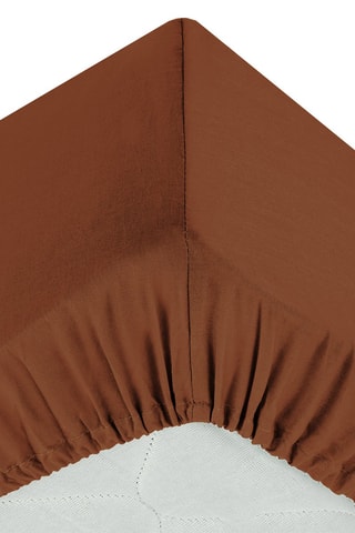 Drap-housse en coton 57 fils/cm² Carina - Terracotta