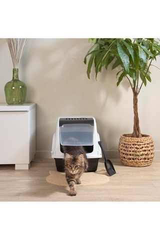 Litière - Ivoire - 53 x 36 x 42 cm