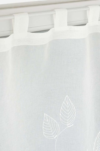 Paire de voilages - Berry - Blanc - 60 x 90 cm