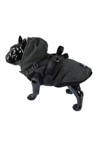 Manteau à capuche avec harnais - Taille S - Anthracite