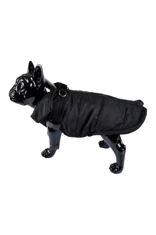 Doudoune pour chien 
Noir - Taille M