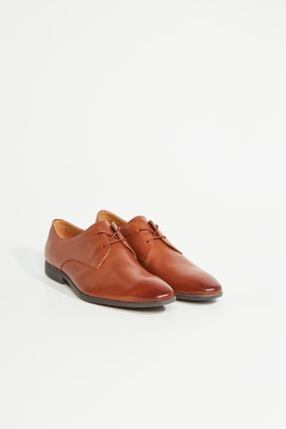 Derbys Bampton - Marron