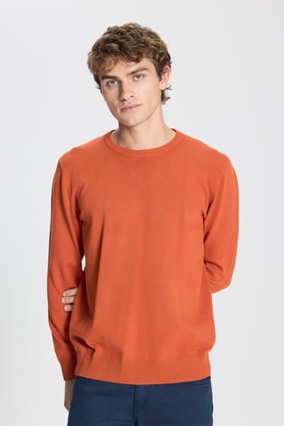 Trui Regular Fit - Oranje - ?? pb visuel ou compo