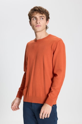 Trui Regular Fit - Oranje - ?? pb visuel ou compo
