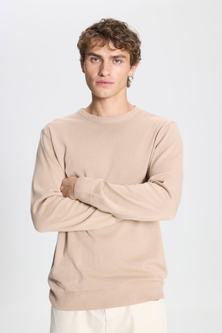 Trui Regular Fit - Beige - ?? pb visuel ou compo