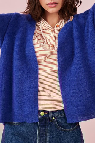 Vest Mohair en Alpagawollen Vest met Capuchon Bonny - Blauw